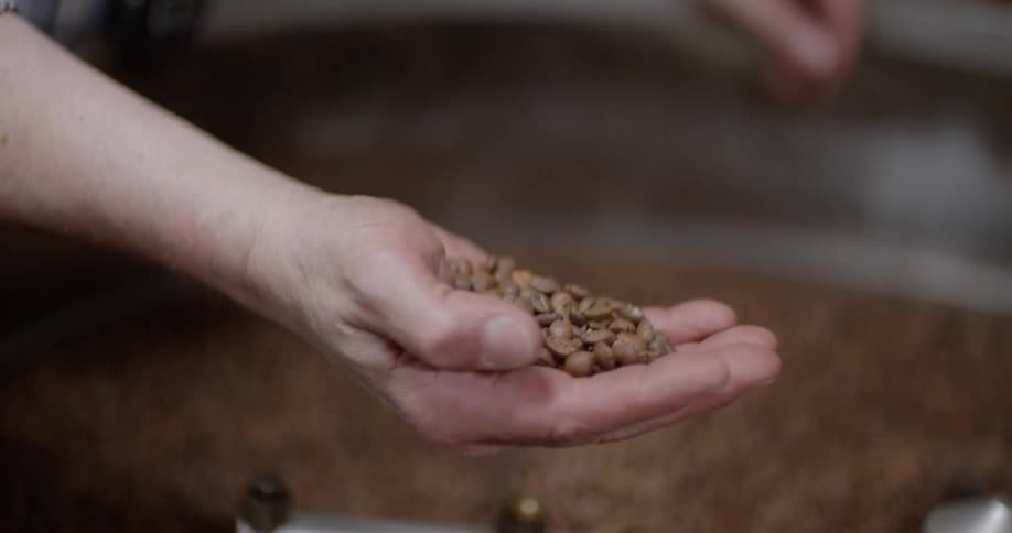 Coffee beans are being roasted