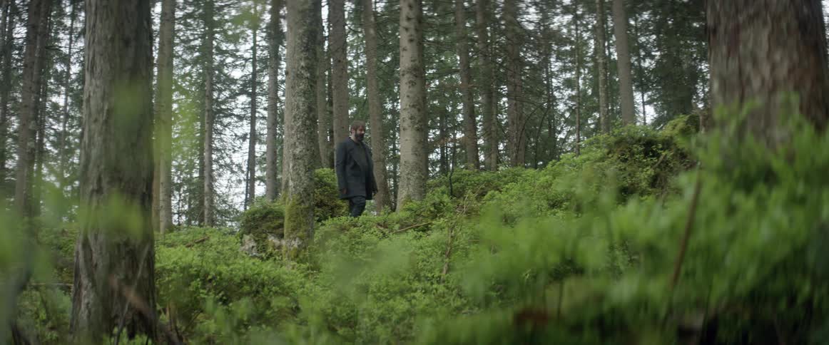 A man walks through the woods