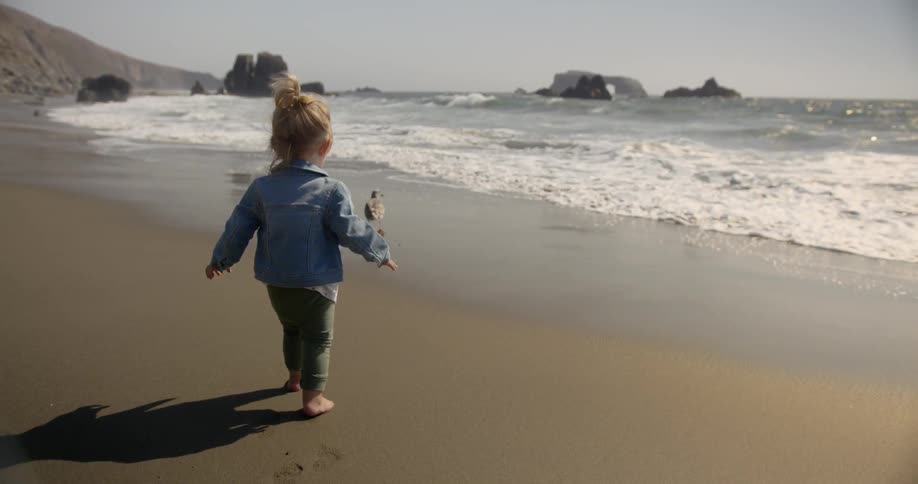 A baby walks on the sand and chases a bird