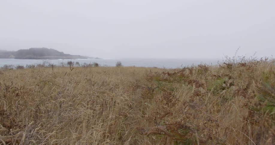A field of brown grass leading to water