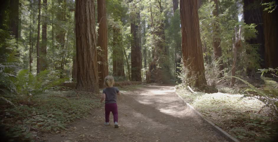 A young girl walks through a forest trail