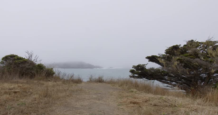The lake ahead is covered with fog