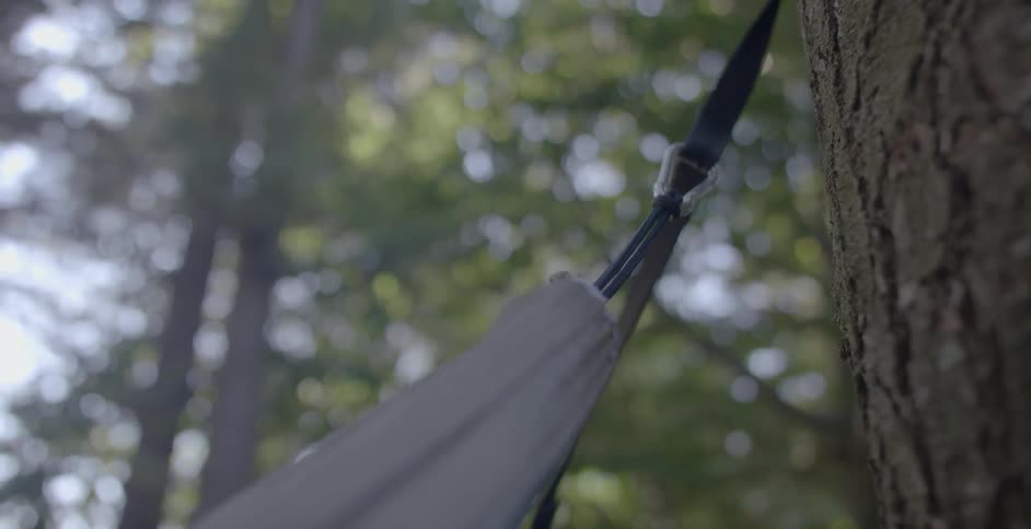 A hammock is attached to a rope around a tree