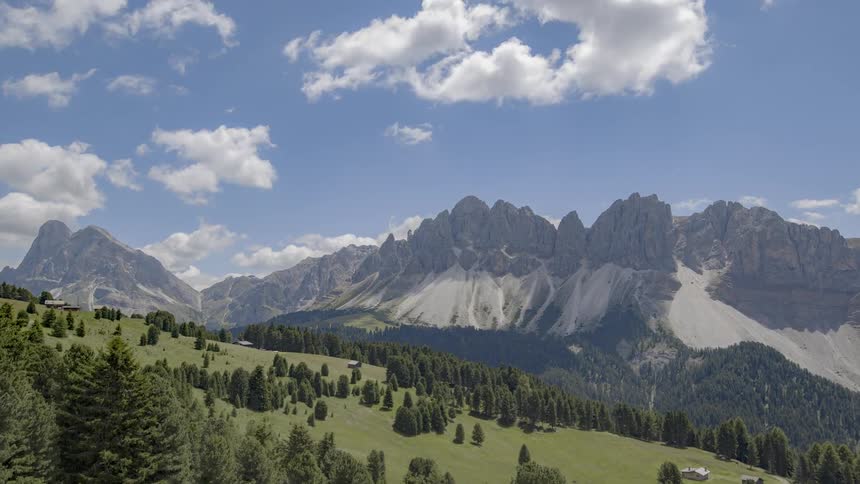 The hillside is full of trees leading to the mountain