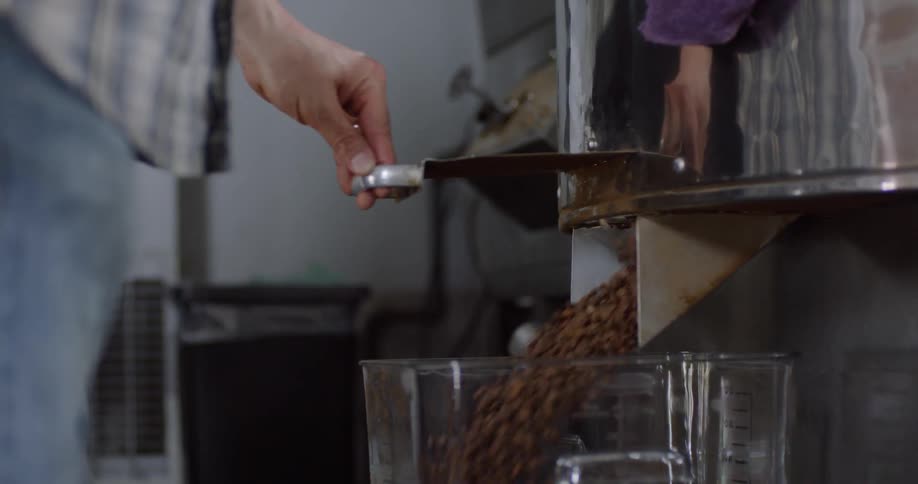 Coffee beans pour out of a roaster