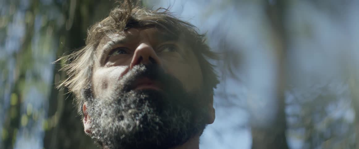 A man is looking up at the forest around him on a sunny day