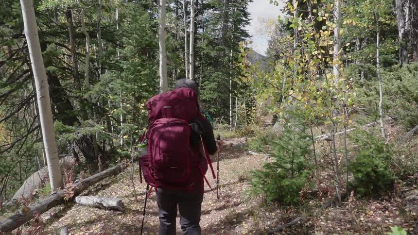 A person hikes through the woods