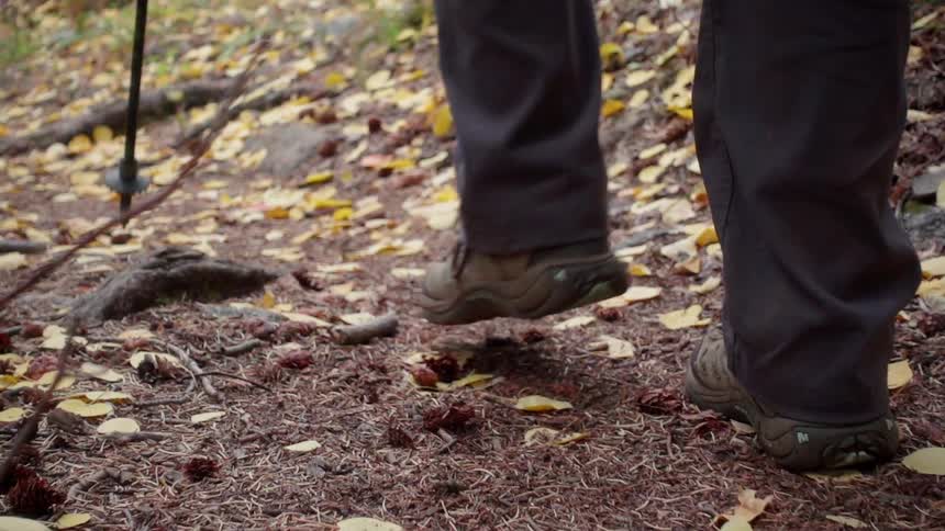 Person with walking sticks progresses along a hiking trail