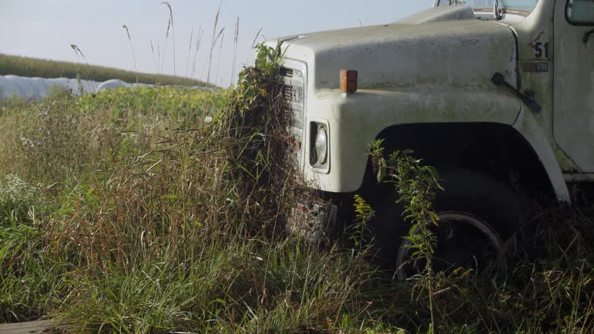 A truck sits in the field with vegetation growing on it