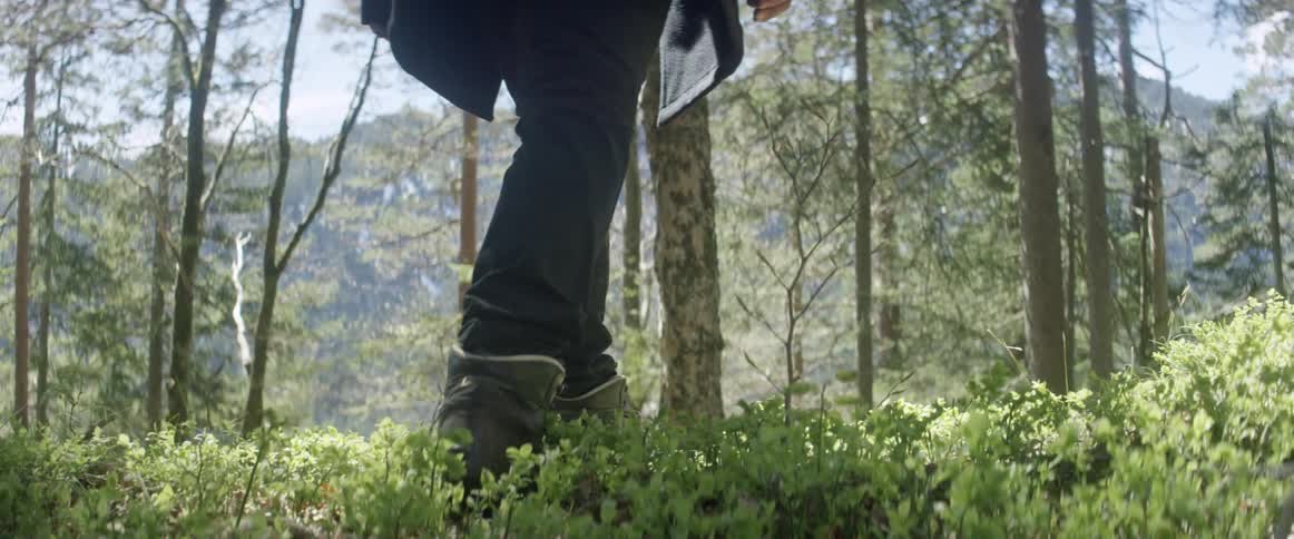 A man walks through green vegetation in the woods