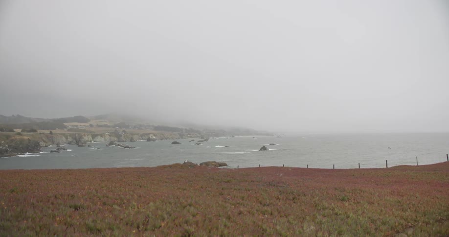 Fog is lingering over coastal cliffs during the day