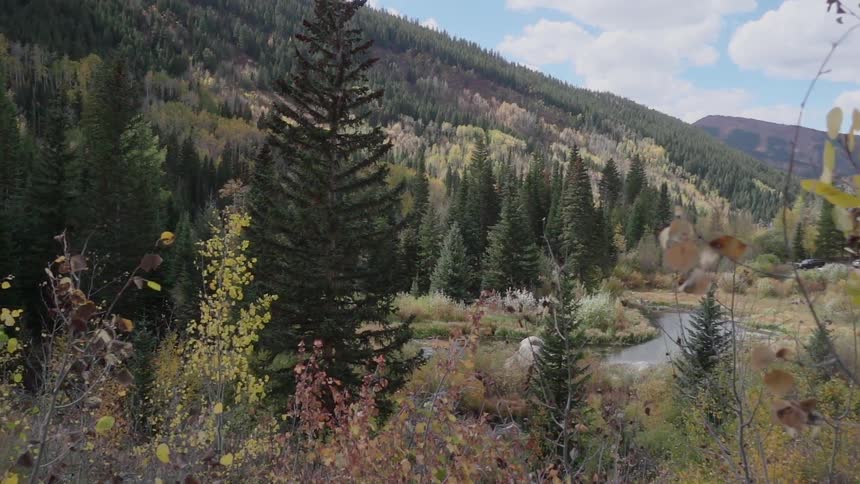 Beautiful landscape full of lush vegetation and a small stream