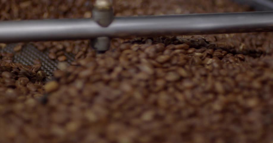 Coffee beans rotate in a roaster