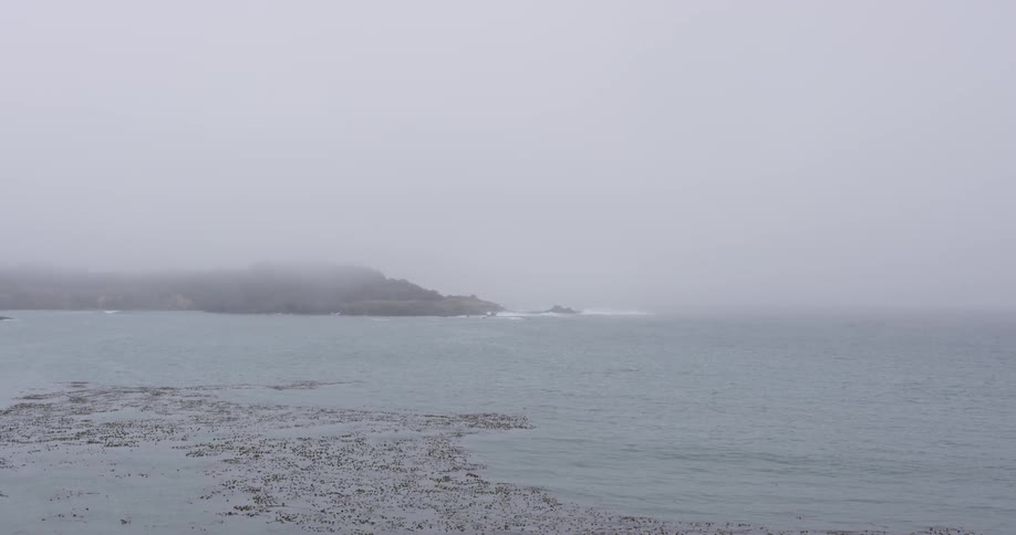 The fog rolls over the water ahead