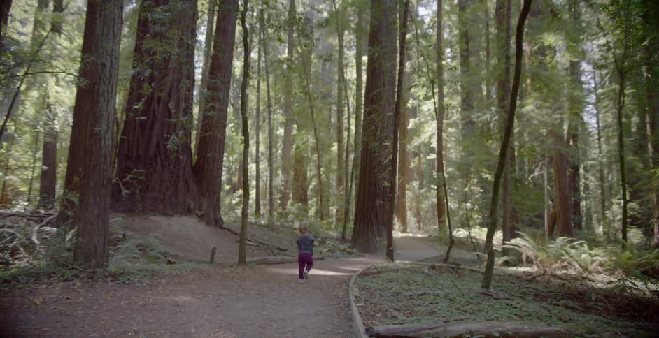 A little girl walks on a path in the woods