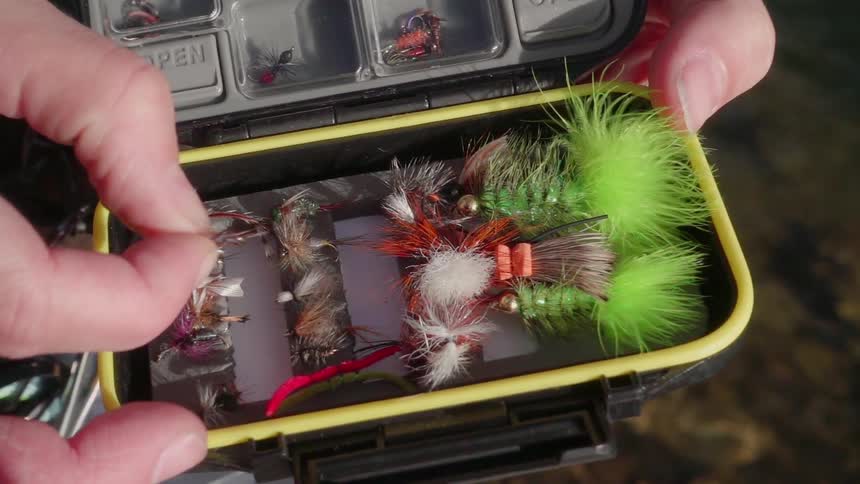 The tackle box is full of lures