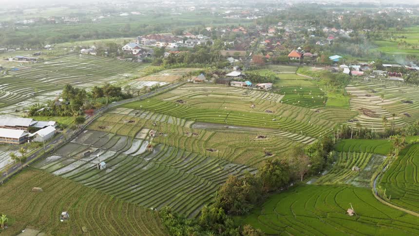The long farm lands are covered with fog ahead