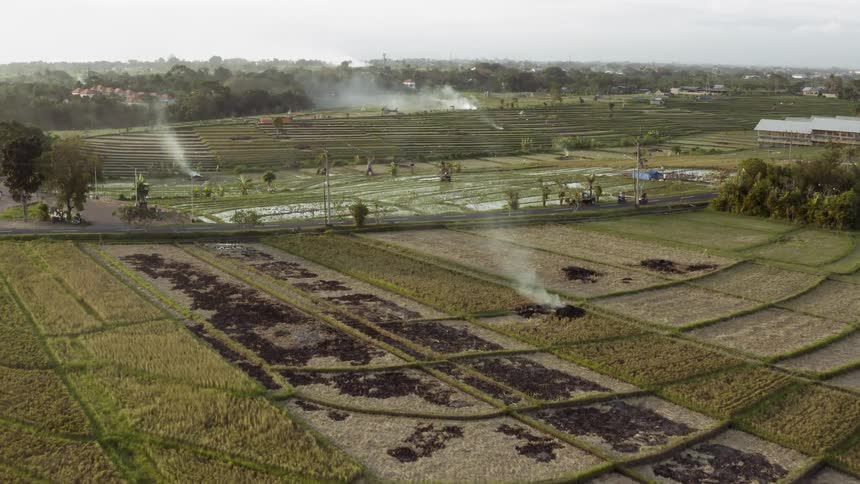 Cars drive past rows of farmland