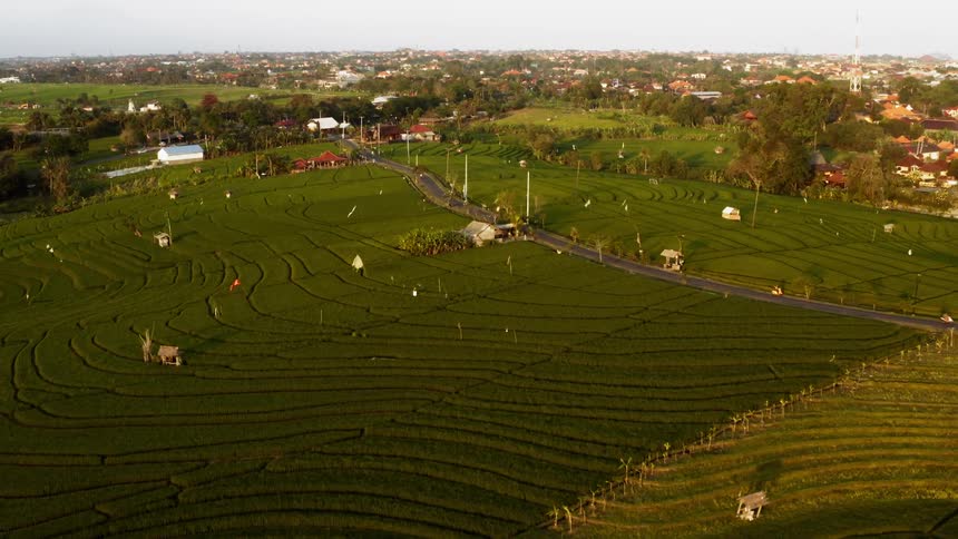 Vehicles travel down rural farmland roads