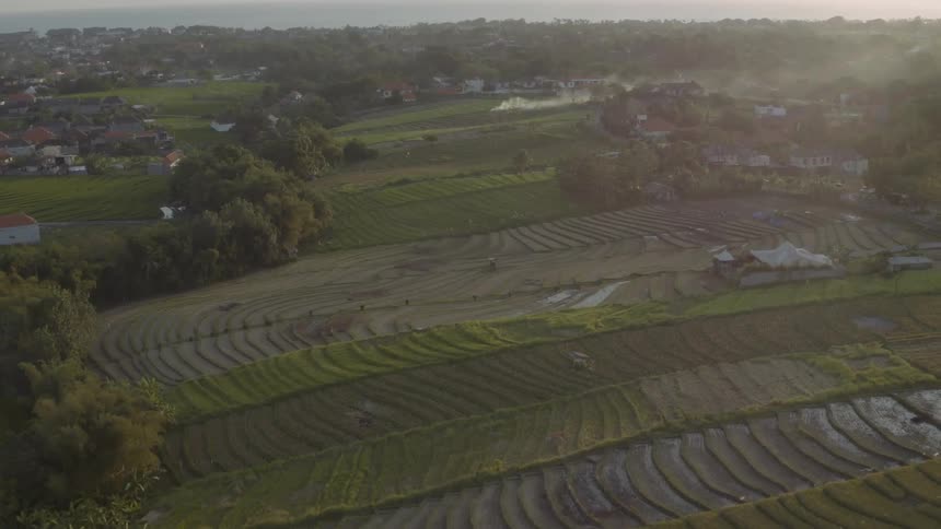 Rows of farmland