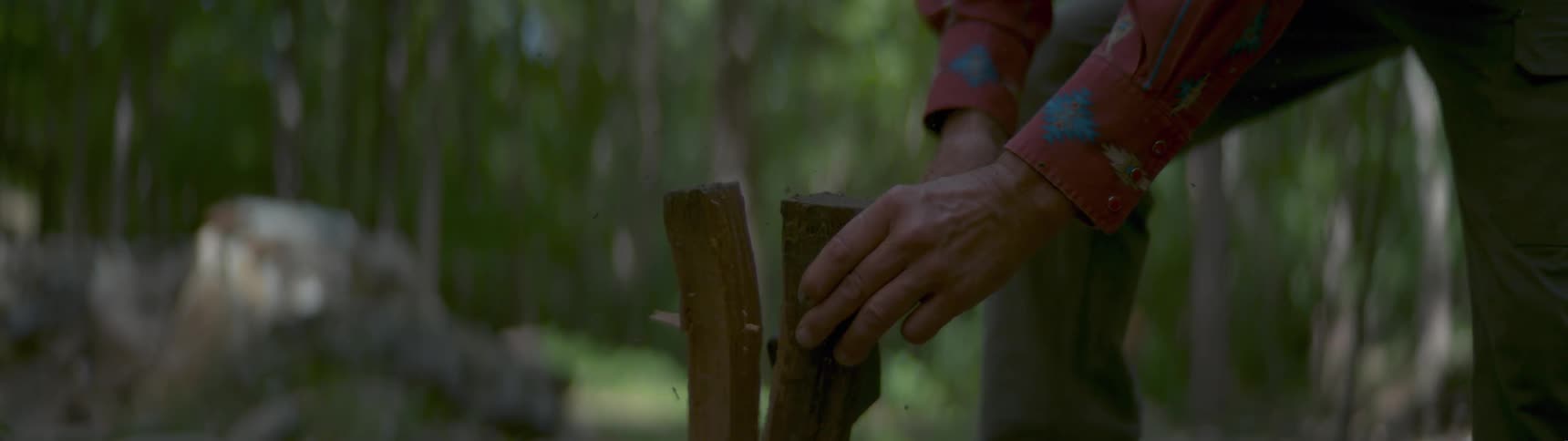 A man is using an ax to split a piece of wood outside in a natural setting