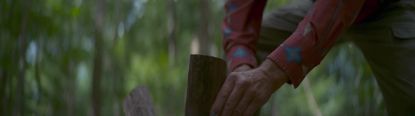 Someone is splitting wood with an axe in the woods