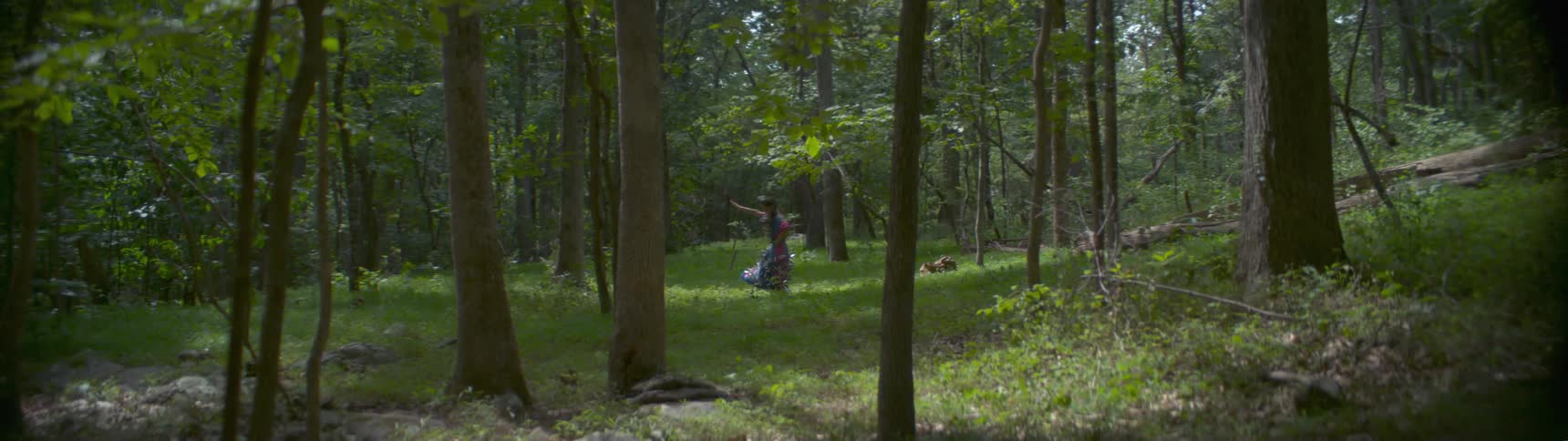 Woman in dress is dancing under the shade of forest trees