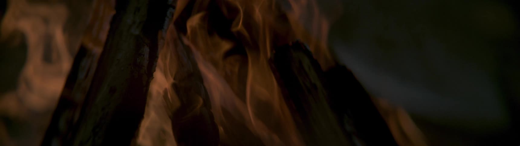 Flames rise from a log fire