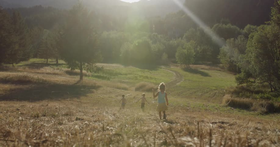 Kids are playing on a grassy hill