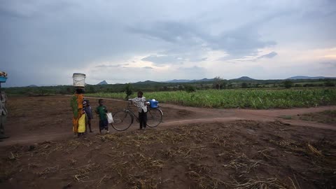A family at a crossroads