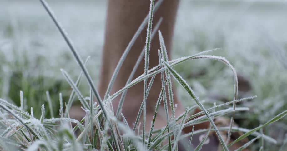 Man walks on frosty grass