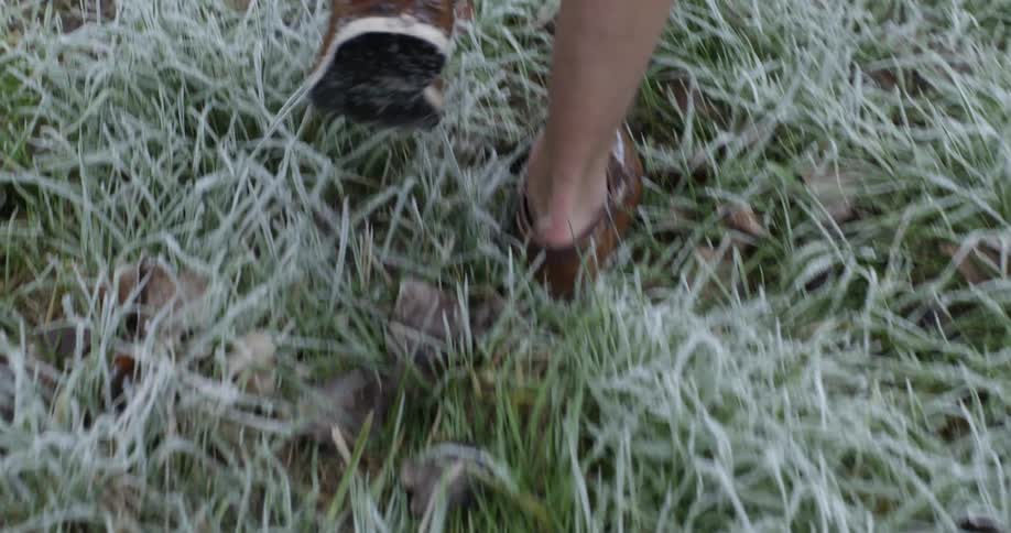 Man walks across frosted grass