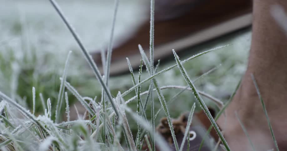 A person walks across fuzzy grass