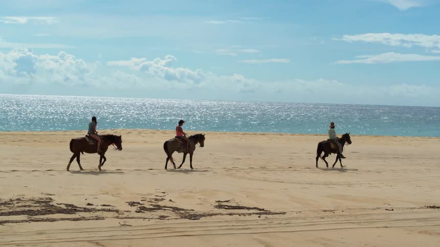 People ride horses on a sandy beach