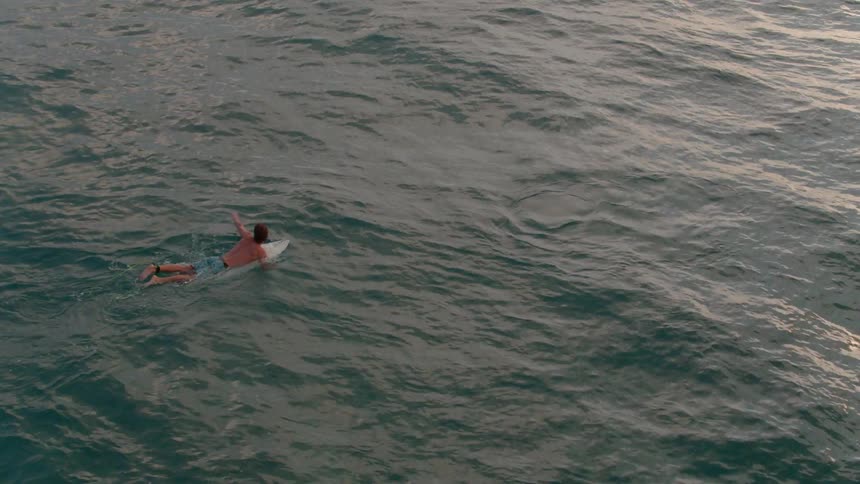A surfer paddles out into the water