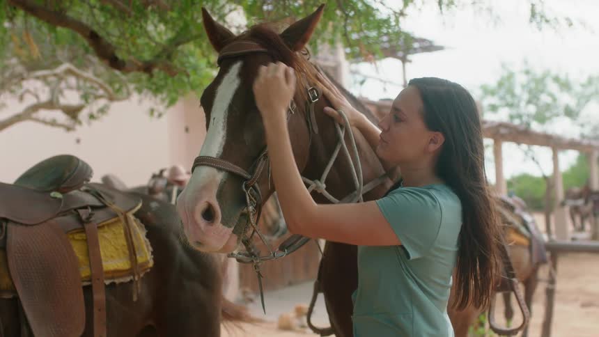 A woman pets a horse outside