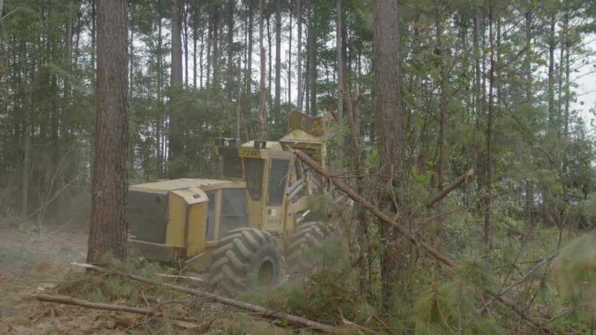 An excavator rides through the forest