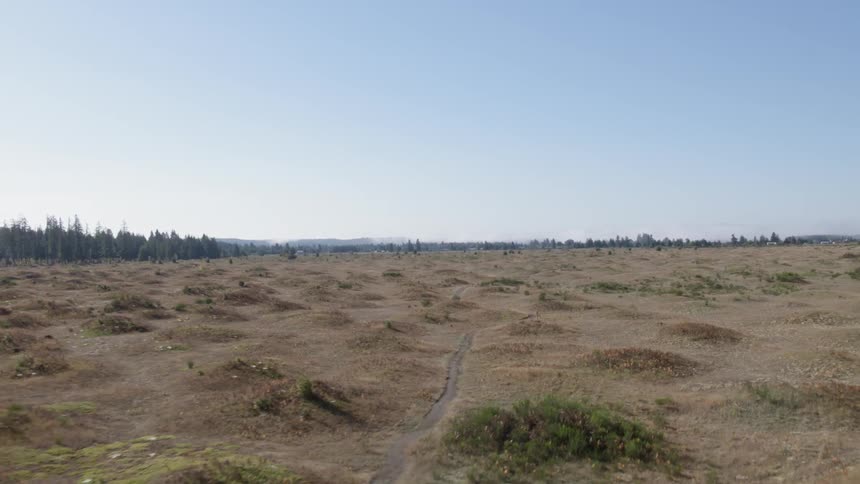 Pullback over the undulating landscape of Mima Mounds