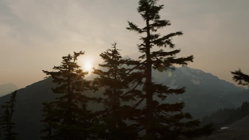 Flying through gnarled alpine trees with the sun shining between mountain peaks in the distance