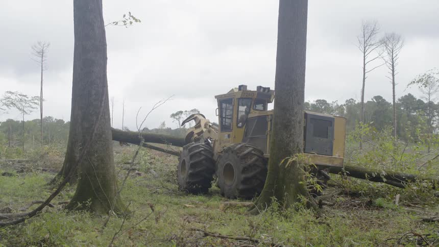 A tractor picks up a log