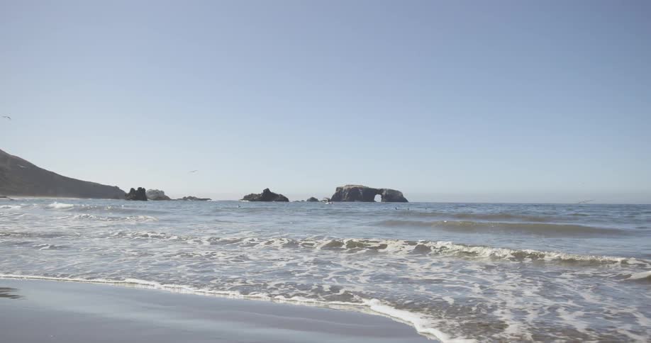 Seagulls are flying above a beach on a sunny day