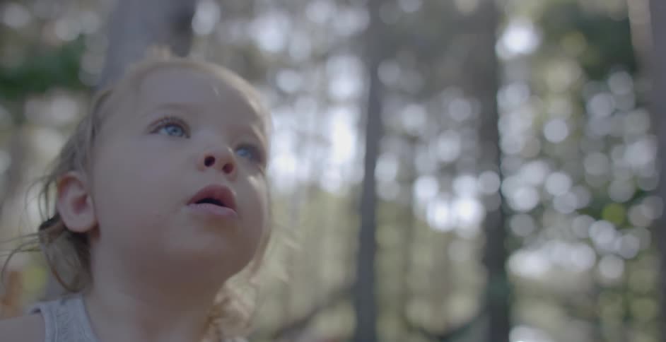 A toddler girl is staring up at the forest around her on a sunny day