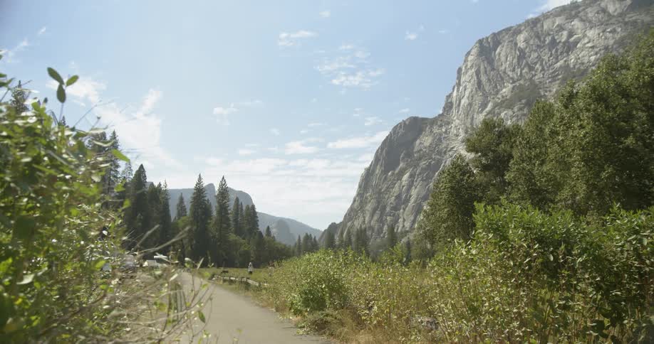 Green grass and vegetation grow on the side of a mountain trail