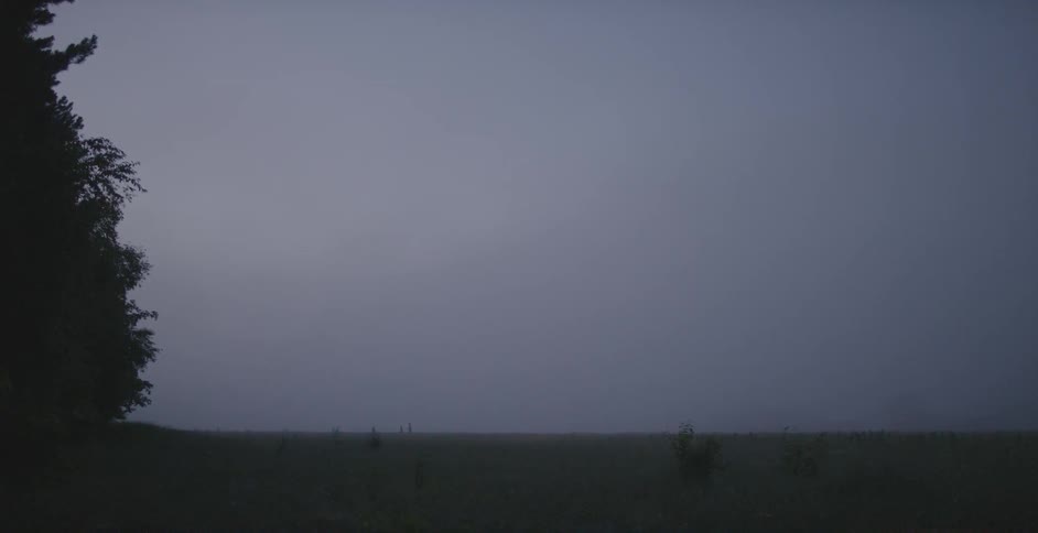 Fog and clouds are hanging over field in a natural setting at dusk