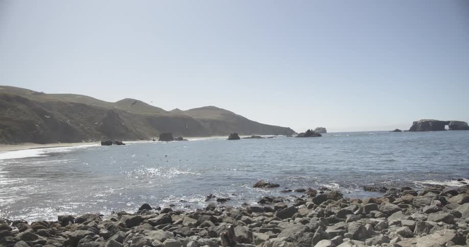 The birds fly along the coast on a sunny day