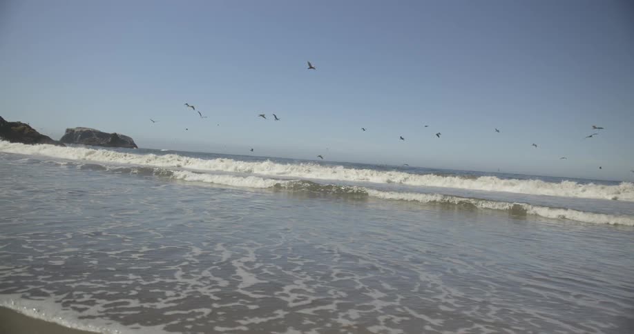 Birds fly over waves rolling onto a beach