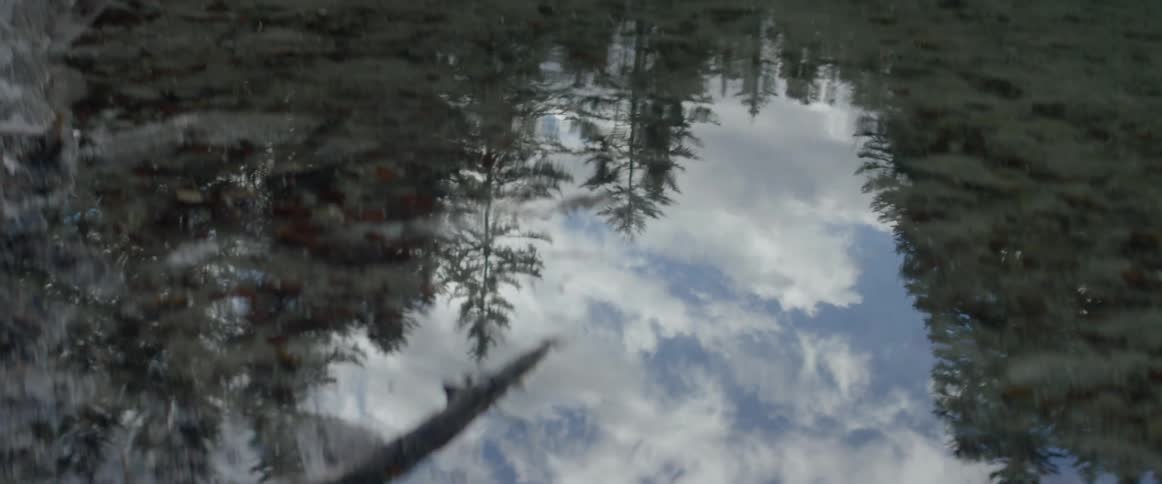 Rippling water reflects trees and sky