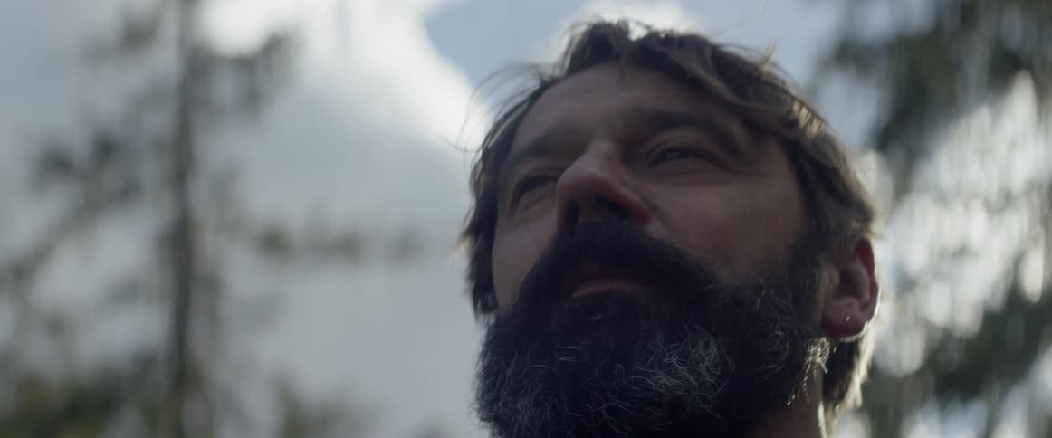 A man is standing in a natural setting looking up his surroundings