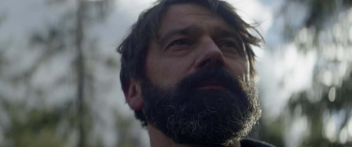 A man is looking up at the forest around him on a sunny day