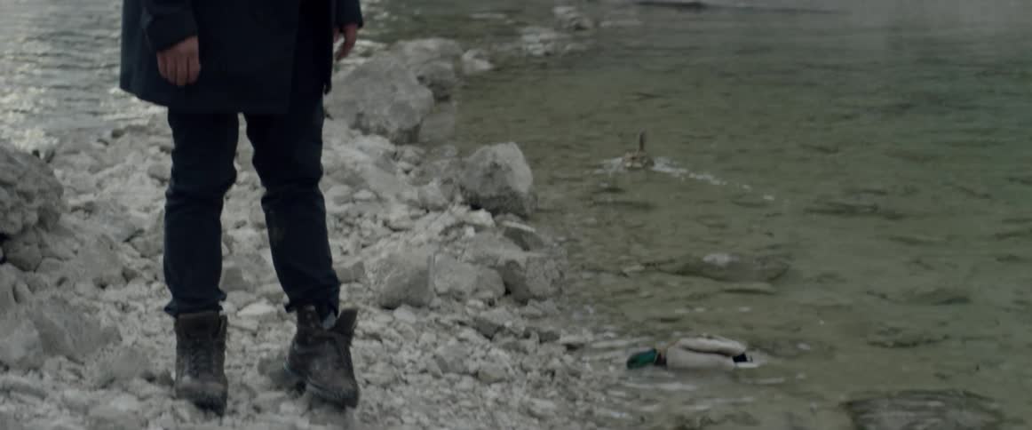 Ducks swim near a man standing on the rocky bank